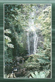 maui_waterfall.jpg